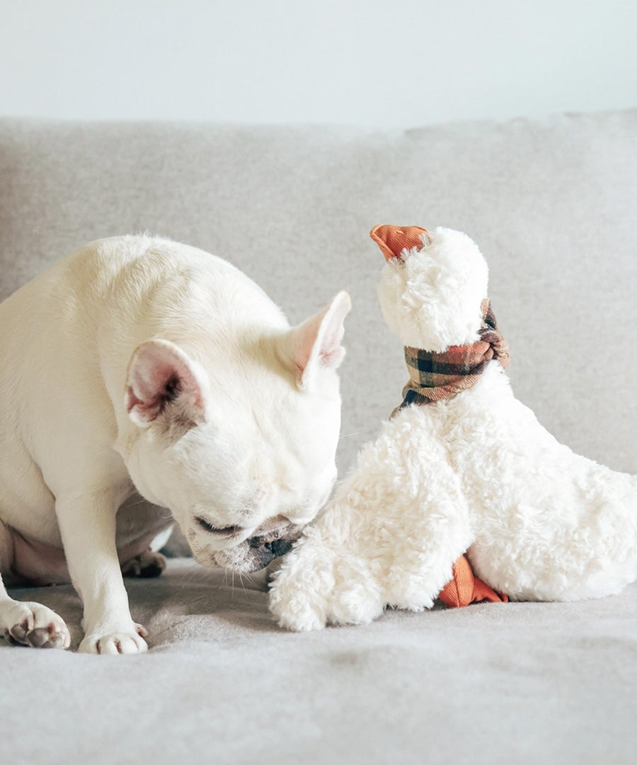 Lambwolf-Collective-peluche-chien-interactive-design-gus-oie