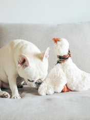 Lambwolf-Collective-peluche-chien-interactive-design-gus-oie