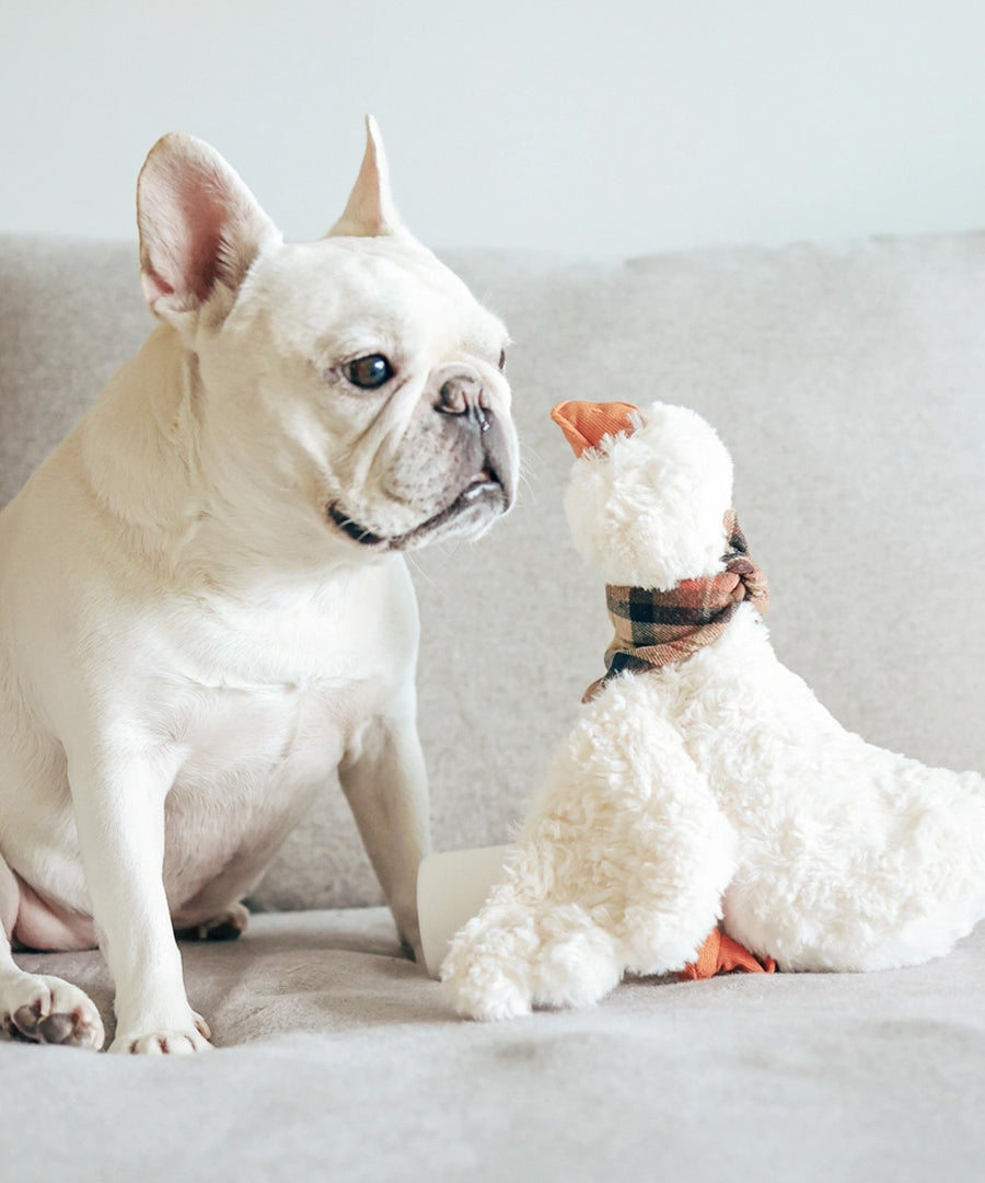 Lambwolf-Collective-peluche-chien-interactive-design-gus-oie