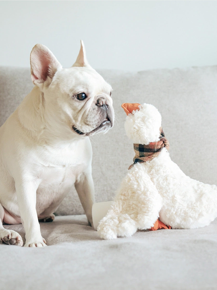 Lambwolf-Collective-peluche-chien-interactive-design-gus-oie