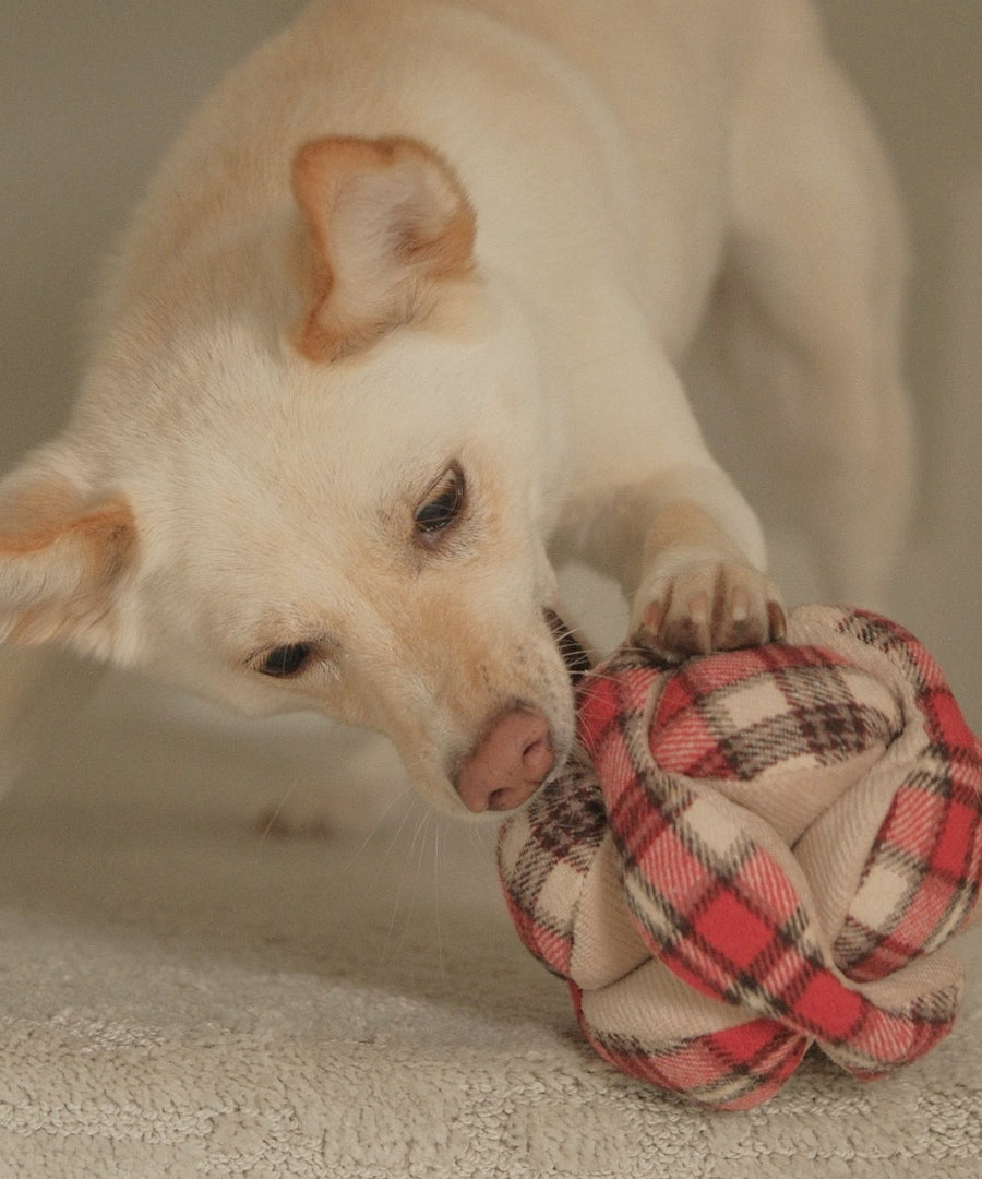 Lambwolf-Collective-peluche-chien-interactive-design-monti-flanelle