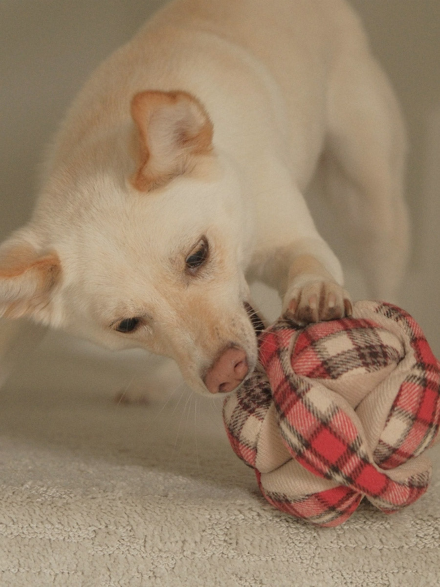 Lambwolf-Collective-peluche-chien-interactive-design-monti-flanelle