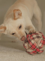 Lambwolf-Collective-peluche-chien-interactive-design-monti-flanelle