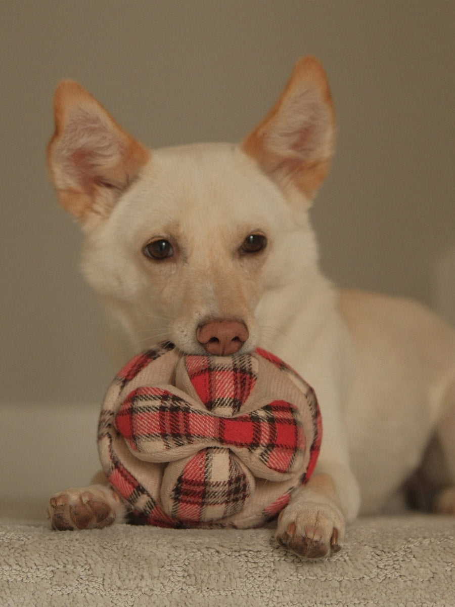 Lambwolf-Collective-peluche-chien-interactive-design-monti-flanelle