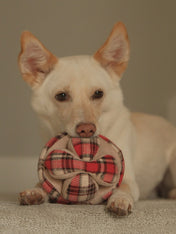 Lambwolf-Collective-peluche-chien-interactive-design-monti-flanelle