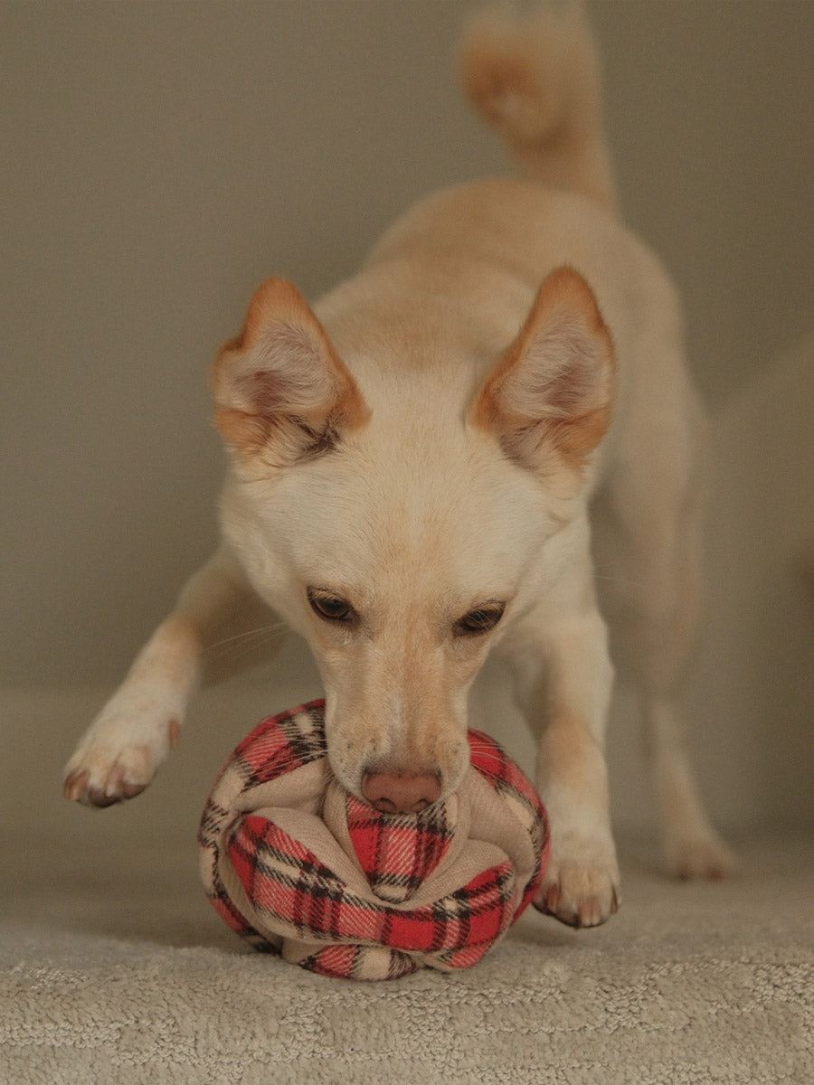 Lambwolf-Collective-peluche-chien-interactive-design-monti-flanelle