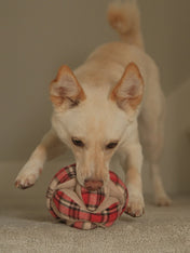 Lambwolf-Collective-peluche-chien-interactive-design-monti-flanelle