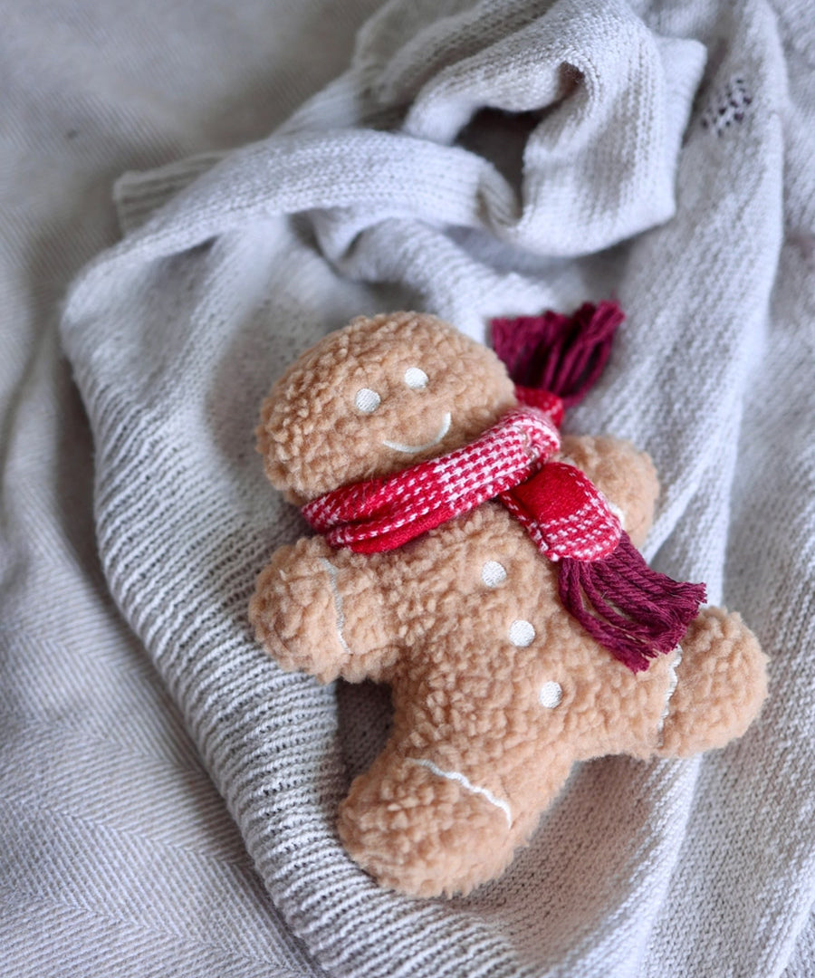 Lambwolf-Collective-peluche-chien-interactive-design-pain-epice