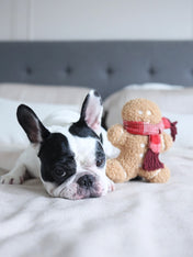 Lambwolf-Collective-peluche-chien-interactive-design-pain-epice