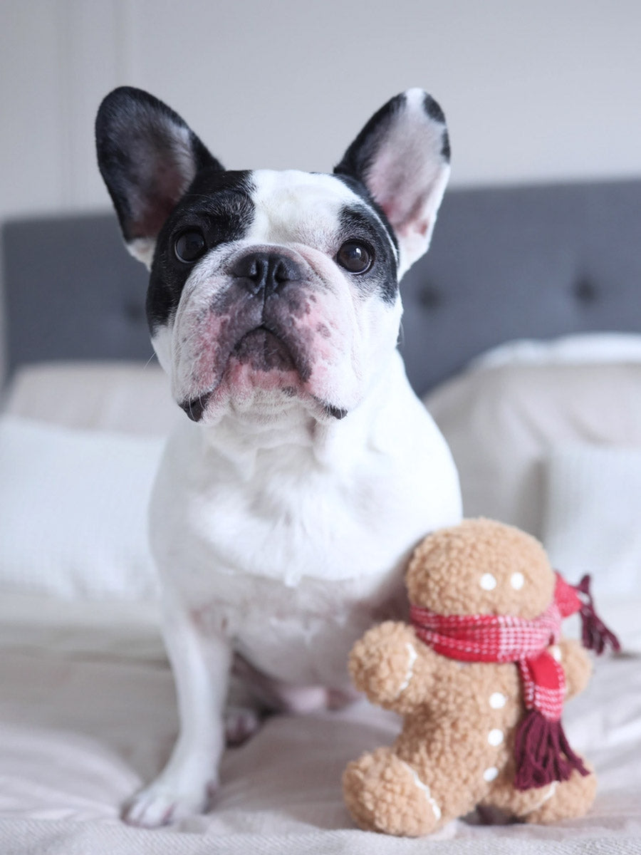 Lambwolf-Collective-peluche-chien-interactive-design-pain-epice