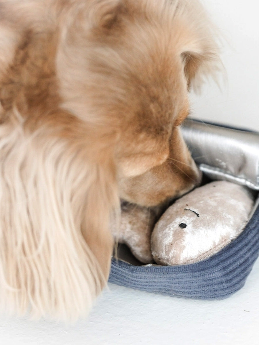 Lambwolf-Collective-peluche-chien-interactive-design-sardine