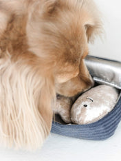 Lambwolf-Collective-peluche-chien-interactive-design-sardine