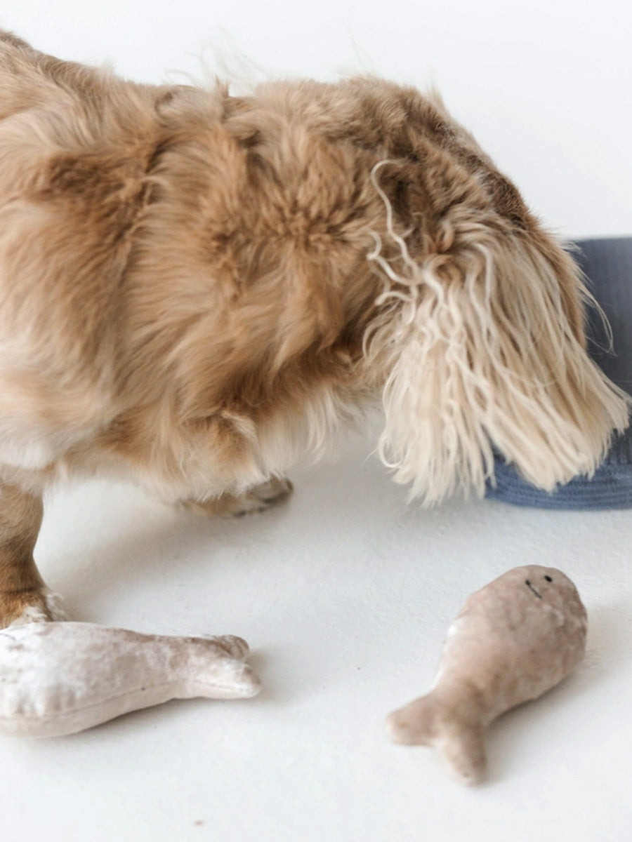 Lambwolf-Collective-peluche-chien-interactive-design-sardine