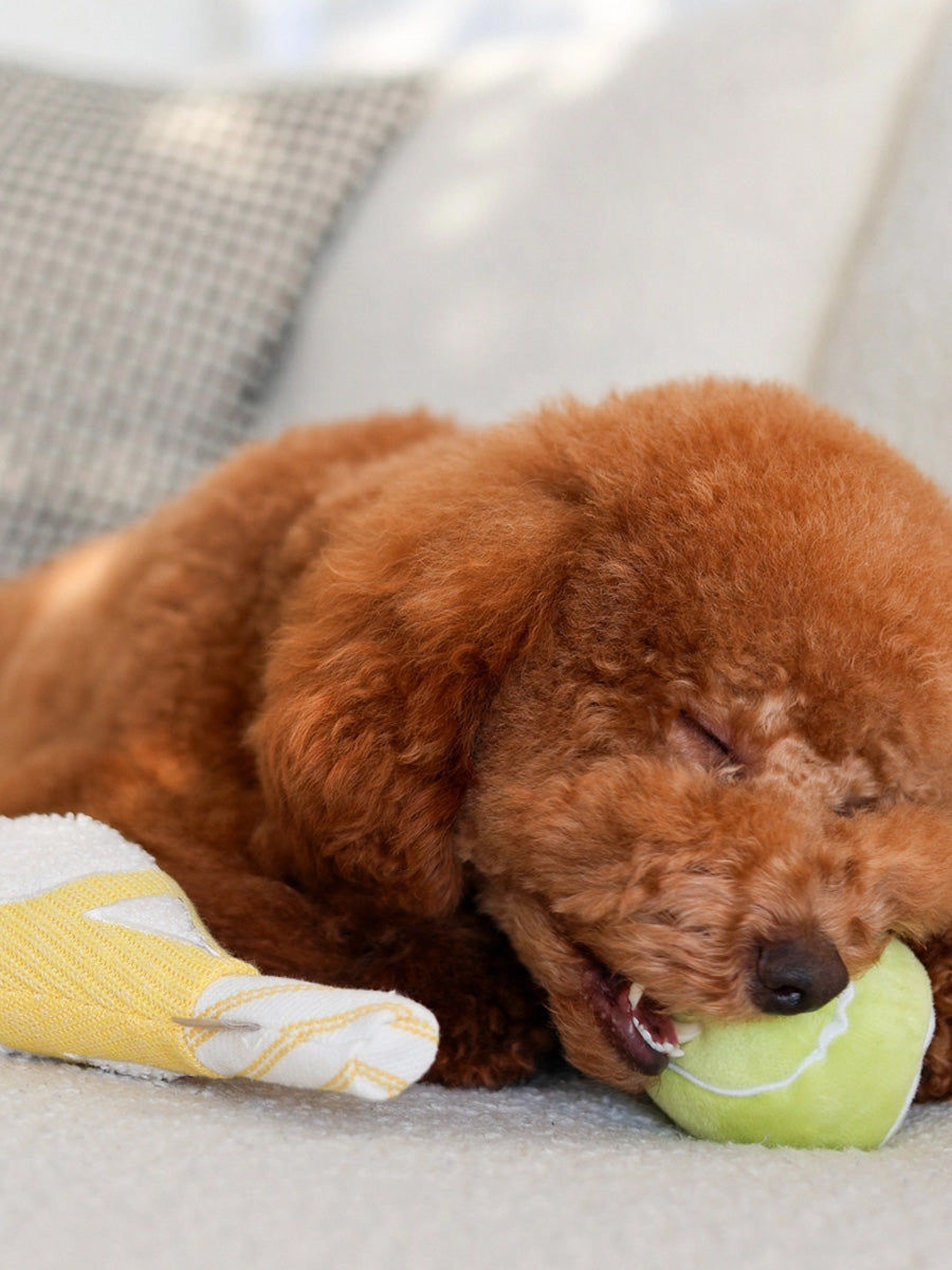 Lambwolf-Collective-peluche-chien-interactive-design-tennis