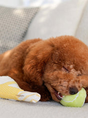 Lambwolf-Collective-peluche-chien-interactive-design-tennis