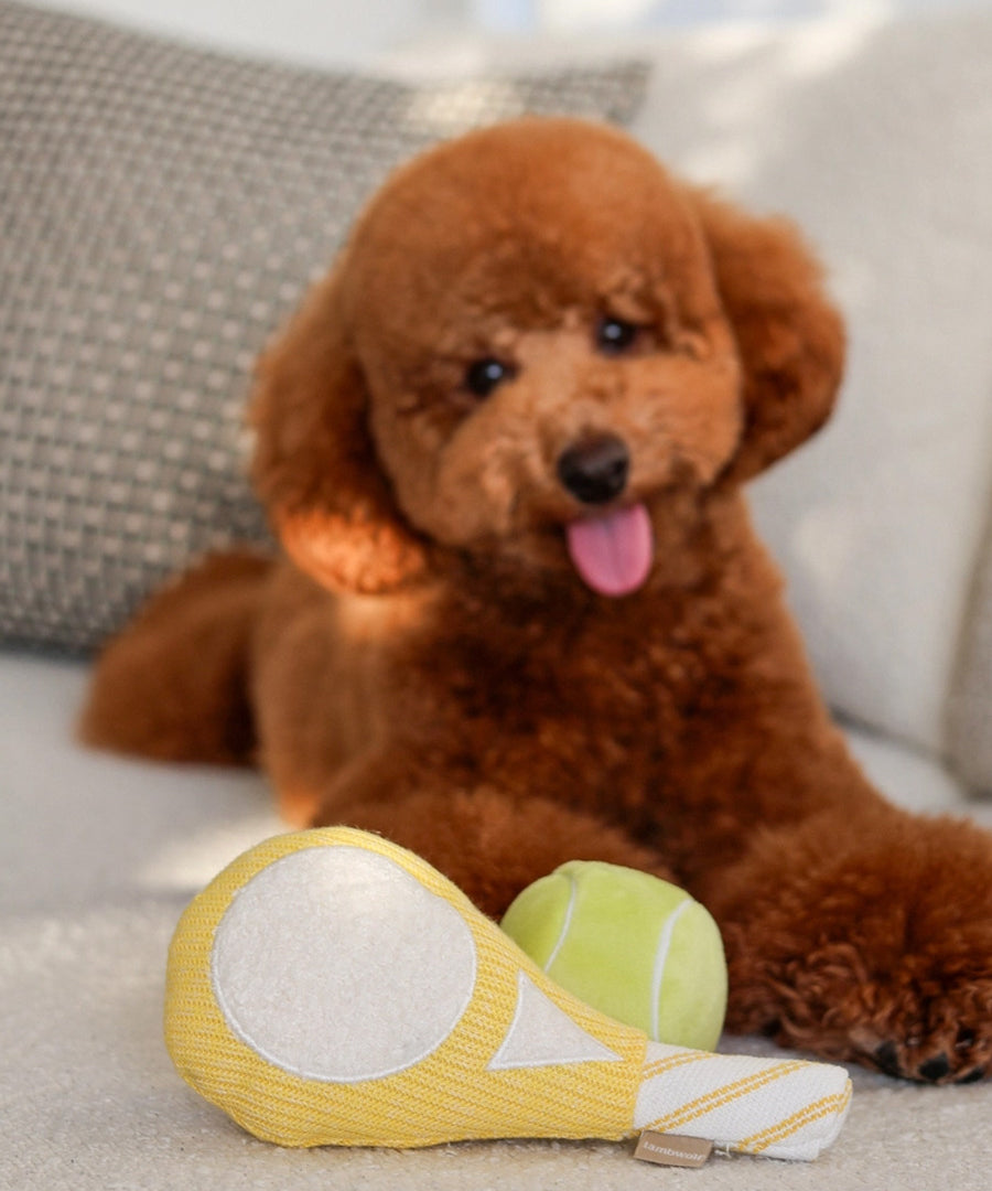 Lambwolf-Collective-peluche-chien-interactive-design-tennis