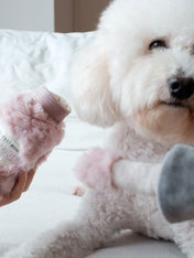 Lambwolf-Collective-peluche-chien-interactive-design-vernis-ongle