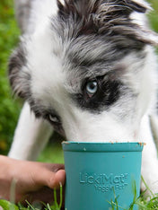        Lickimat-tapis-lechage-occupation-chien-Yoggie-Pot-bleu