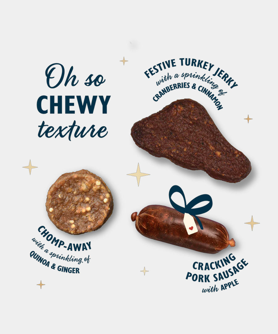 Lily_s-Kitchen-boite-coffret-friandises-chien-de-noel-2025
