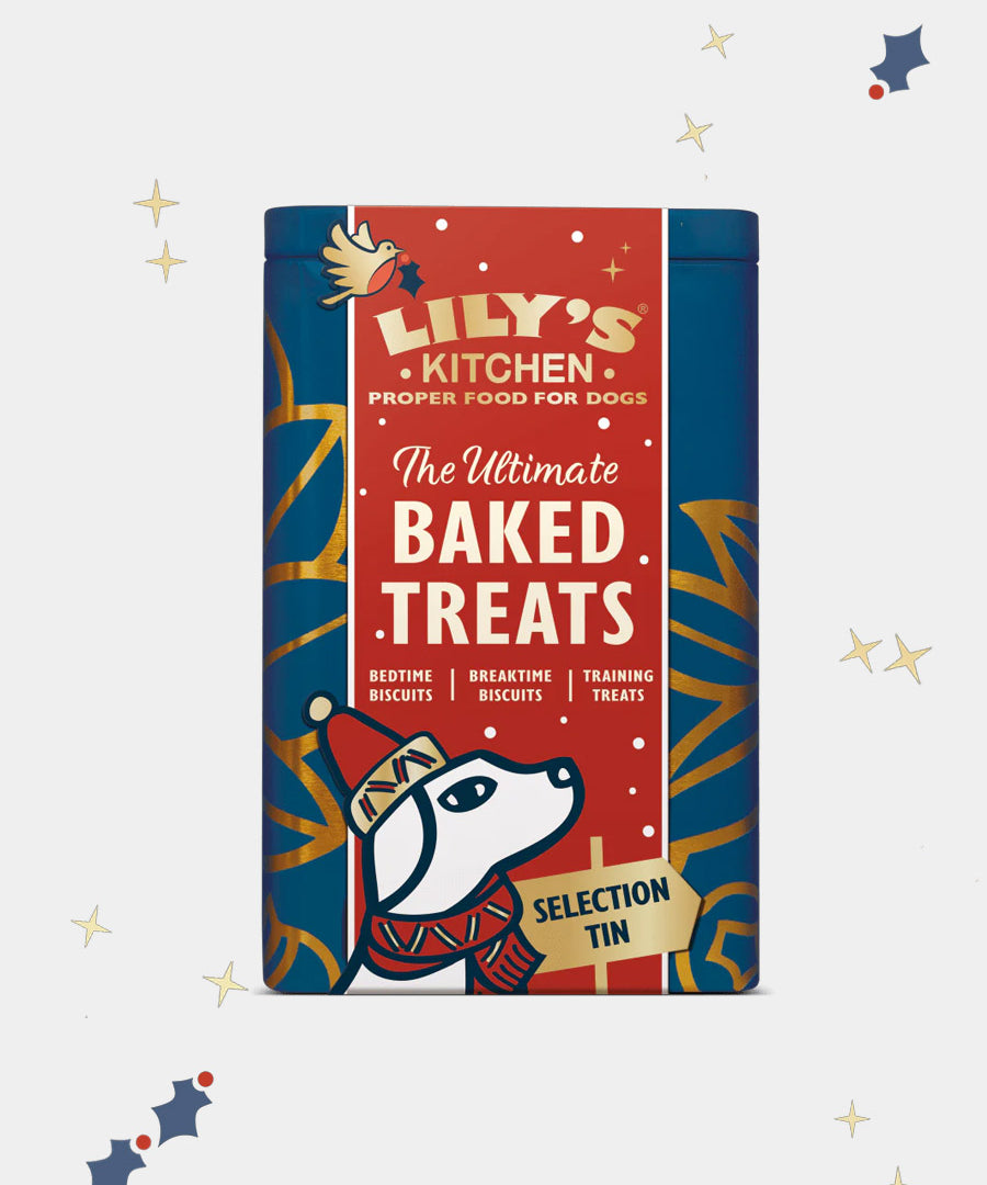 Lily_s-Kitchen-boite-coffret-friandises-chien-de-noel-2025