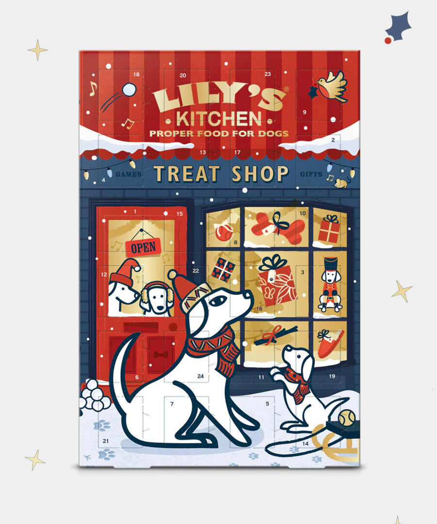 Lily_s-Kitchen-calendrier-de-l-avent-chien-noel-2025