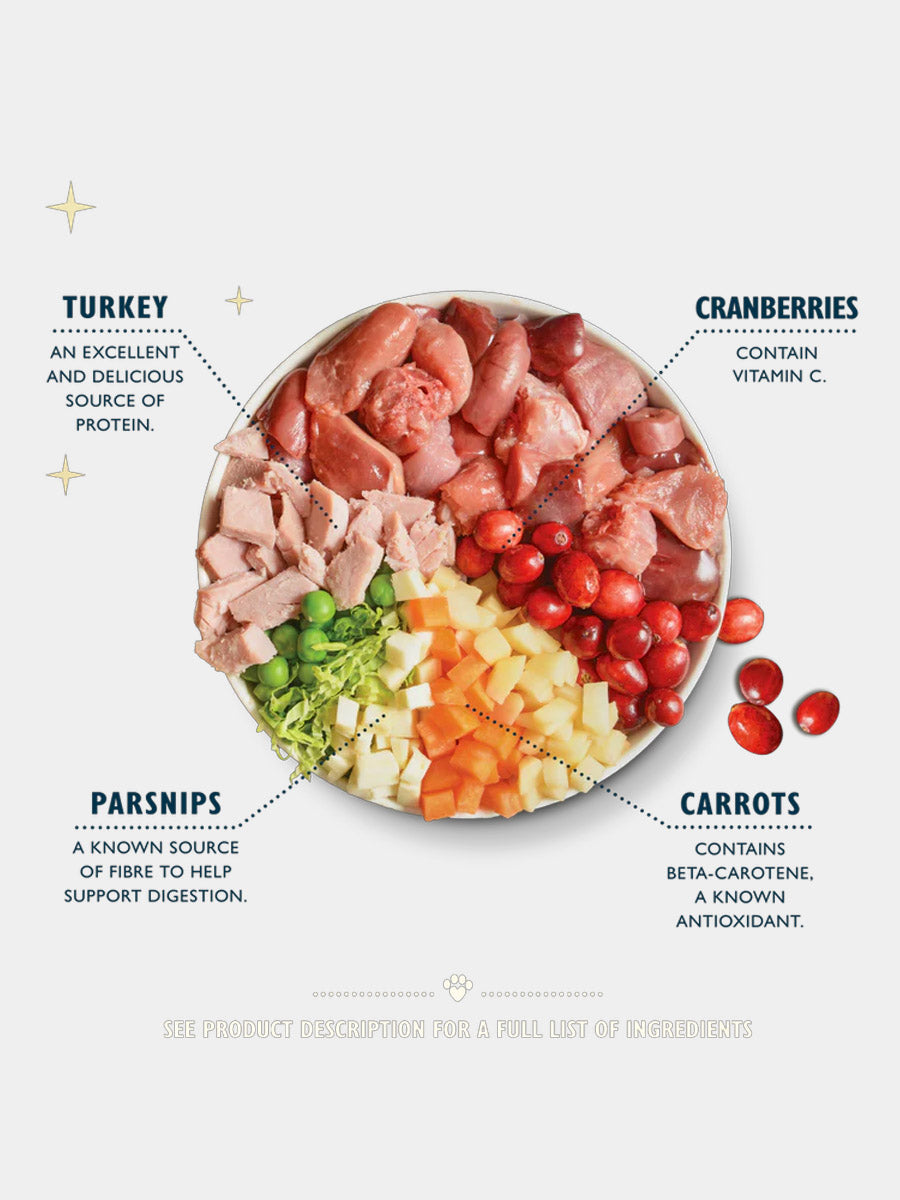 Lily_s-Kitchen-patee-pour-chien-repas-de-noel-2025