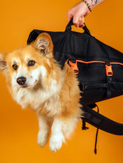 Little-Chonk-Sac-de-transport-pour-chien-maxine-one