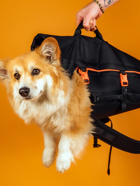 Little Chonk Sac de transport pour chien Maxine One