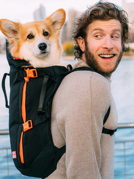 Little Chonk Sac de transport pour chien Maxine One