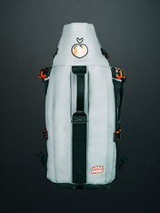 Little-Chonk-Sac-de-transport-pour-chien-maxine-one-gris