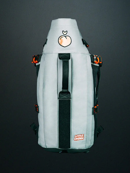 Little-Chonk-Sac-de-transport-pour-chien-maxine-one-gris