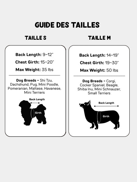 Little-Chonk-Sac-de-transport-pour-chien-maxine-one