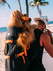 Little-Chonk-Sac-de-transport-pour-grand-chien-brodie-one