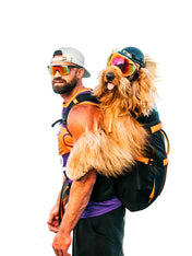 Little-Chonk-Sac-de-transport-pour-grand-chien-brodie-one