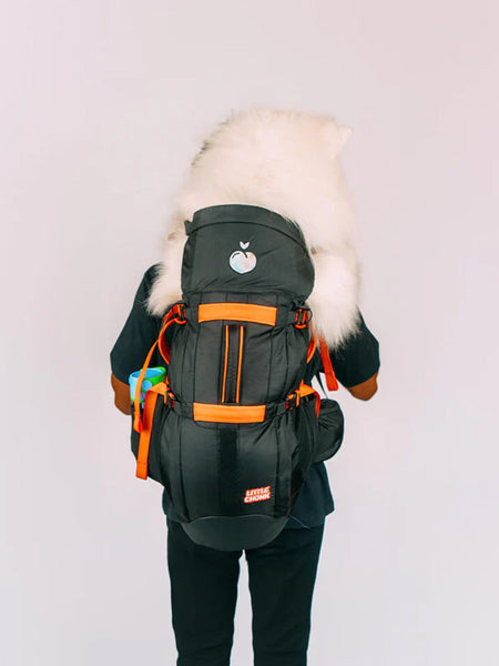 Little-Chonk-Sac-de-transport-pour-grand-chien-brodie-one