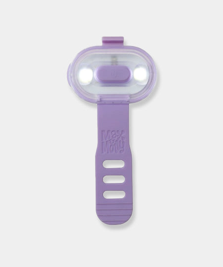 Max-Molly-lumiere-securite-visibilite-pour-chien-lavende