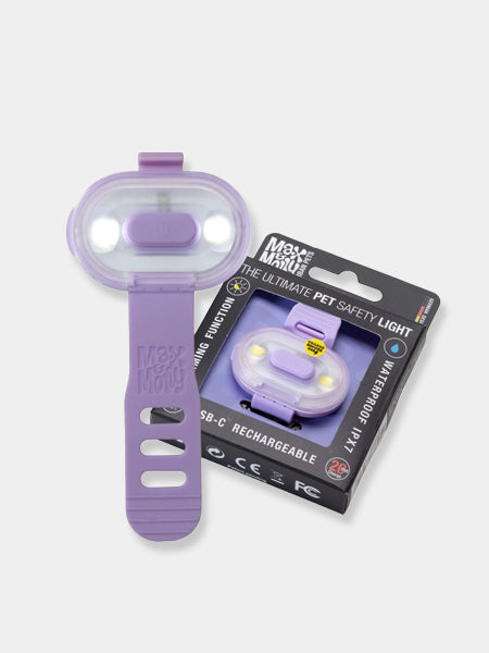 Max-Molly-lumiere-securite-visibilite-pour-chien-lavende