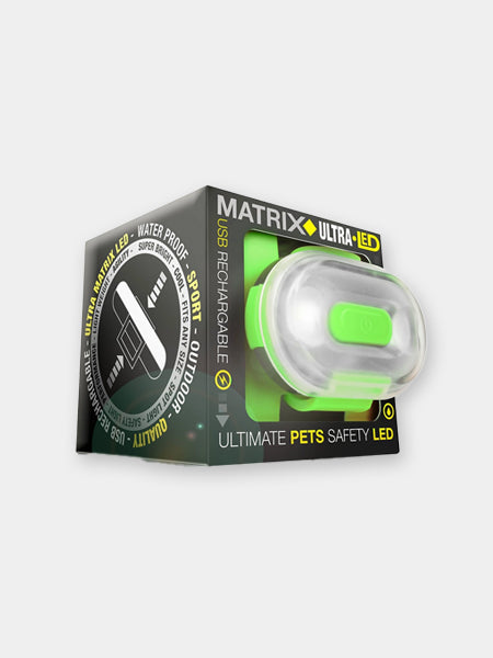 Max-Molly-lumiere-securite-visibilite-pour-chien-vert