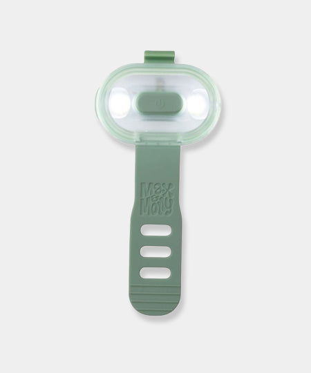 Max-Molly-lumiere-securite-visibilite-pour-chien-vert-sauge