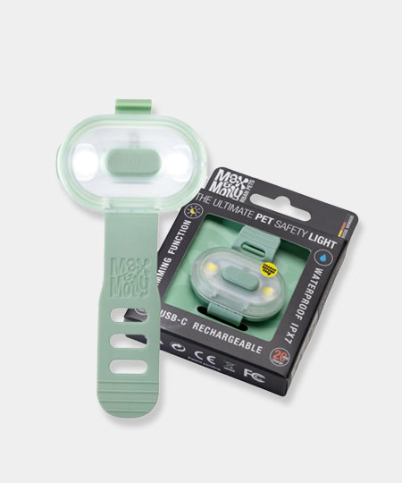 Max-Molly-lumiere-securite-visibilite-pour-chien-vert-sauge