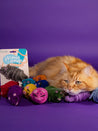   Mimis-Daughters-jouet-pour-chat-laine-naturelle-souris-violette