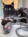        Mimis-Daughters-jouet-pour-chat-laine-naturelle-souris-grise