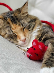       Mimis-Daughters-jouet-pour-chat-laine-naturelle-souris-rouge