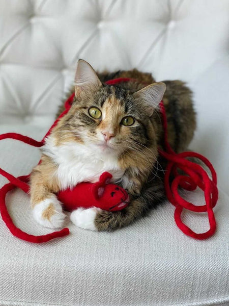       Mimis-Daughters-jouet-pour-chat-laine-naturelle-souris-rouge