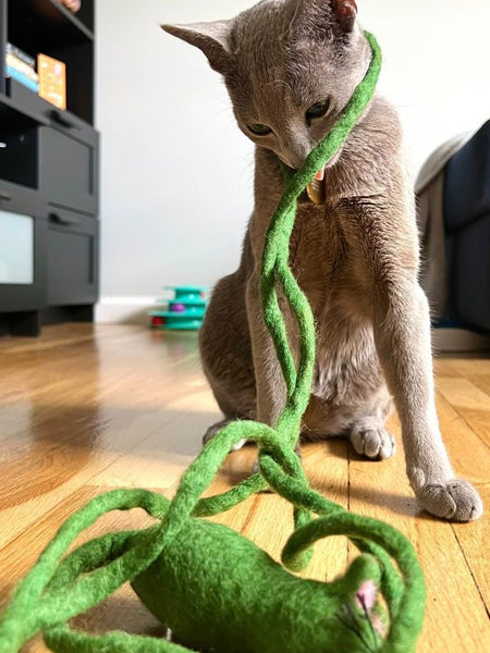       Mimis-Daughters-jouet-pour-chat-laine-naturelle-souris-verte