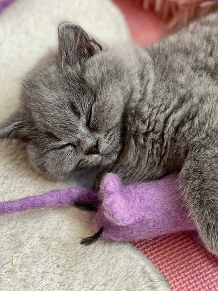    Mimis-Daughters-jouet-pour-chat-laine-naturelle-souris-violette