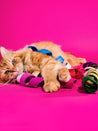        Mimis-Daughters-jouet-pour-chat-laine-naturelle-spirale-rose