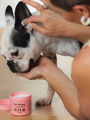 Natural-dog-company-soin-naturel-pour-chien-lingettes-nettoyantes-oreilles