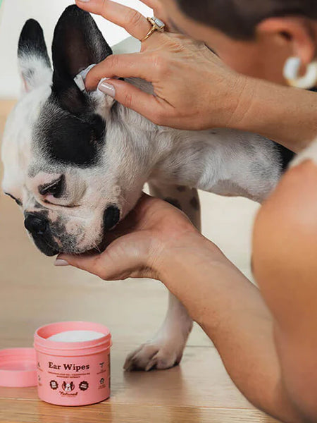 Natural-dog-company-soin-naturel-pour-chien-lingettes-nettoyantes-oreilles