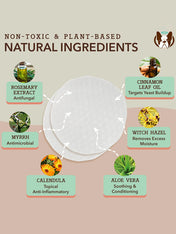 Natural-dog-company-soin-naturel-pour-chien-lingettes-nettoyantes-oreilles